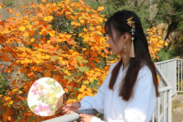 彩林幻境，裂谷新章！熊耳山第二届彩林文化季10月26日盛大启幕