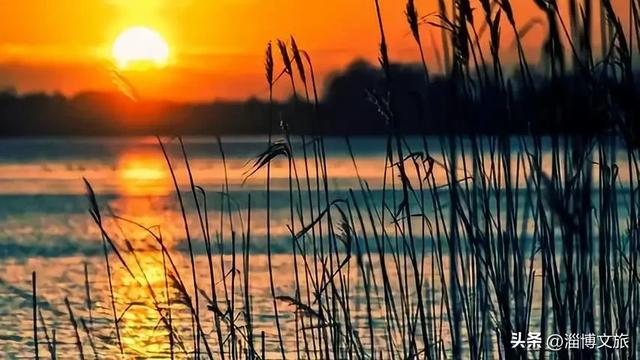 气温骤降8℃，「雪」要来了！在淄博，邂逅一场白色浪漫→