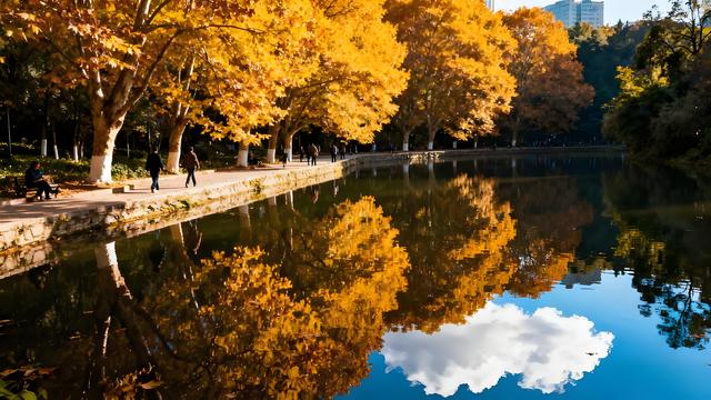 风裁云锦缀林丘，黔韵流香漫绮楼 —— 贵阳清秋揽胜记