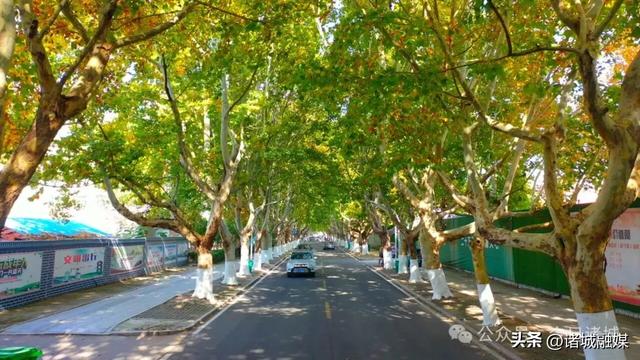 诸城秋浓,如诗如画!