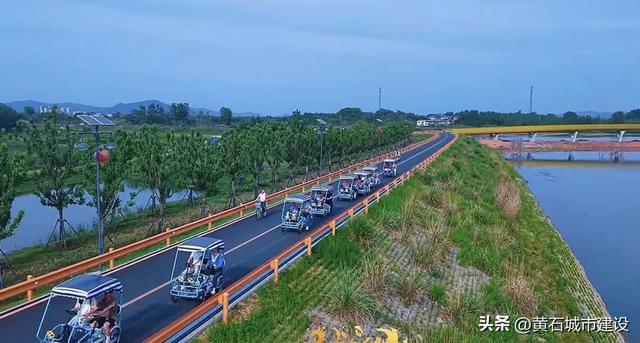 拍照片超美!黄石城区藏着一片橘子海!