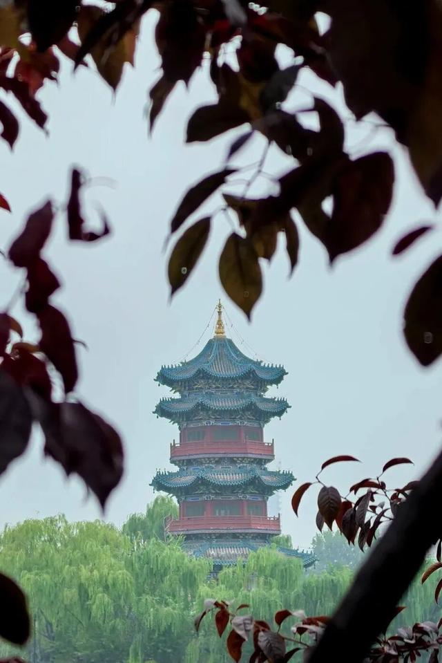太原市迎泽区：赏在迎泽｜迎泽金秋景如春