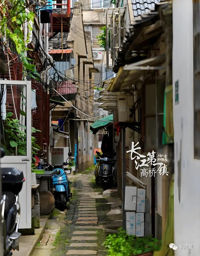 踏迹寻音：长江第一镇浦东高桥一日游