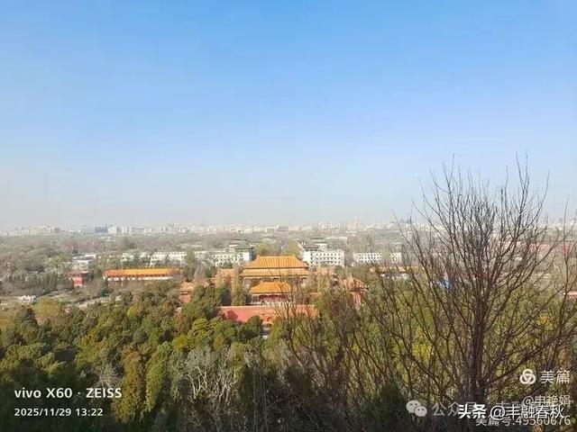 北京景山公园山右里的初冬暖调｜申艳娟