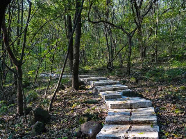 明光徒步新选择!