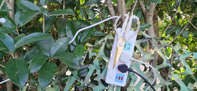 云南昆明 冬藏隐居山野间