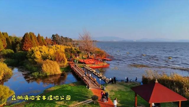 “人在画中游”！昆明这个湿地公园成“全民健身”热门打卡地