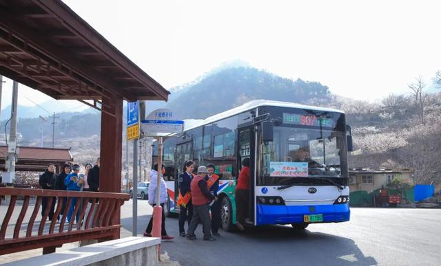 青岛这趟公交，直接开进春天的花海里！美到失语……