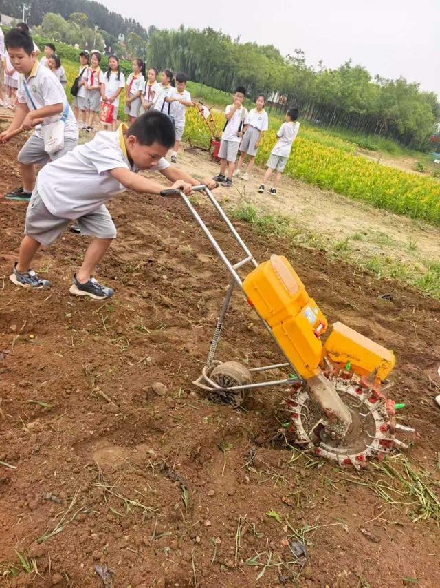 第45个“世界粮食日	”到来	，平谷小学生化身科技小院“农技员”