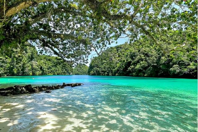 抱紧美日大腿，停飞中国航班、拒绝中国游客的小国，现状如何？