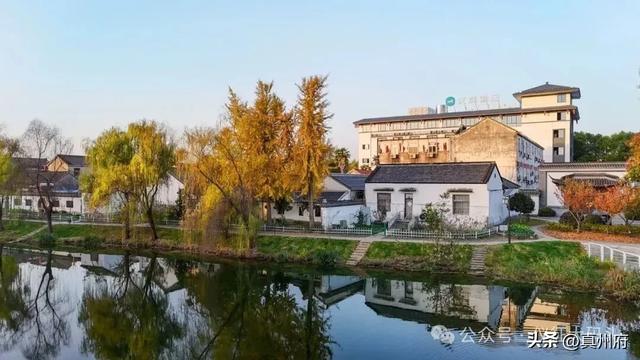 仪征这里的银杏美景醉全城