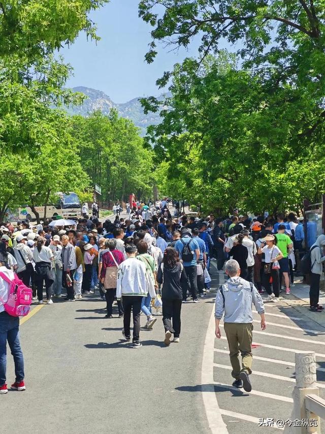 景区"多日票"火爆：门票背后的旅游业大变局，你还只当是多玩几天