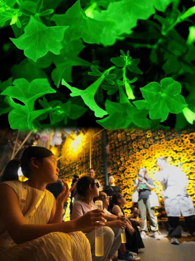 强推！北京夏夜快乐清单已加载
