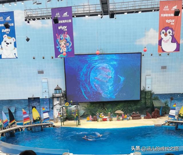 最新天津极地海洋馆一日游攻略——亲测实用!所有演出都可看完!