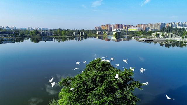 四川省双流区历史沿革及行政区划