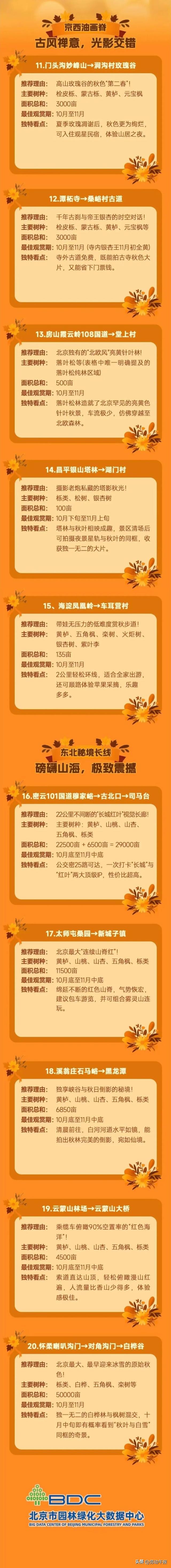 京城赏秋如何人少景美不扎堆？AI推荐这20条错峰路线