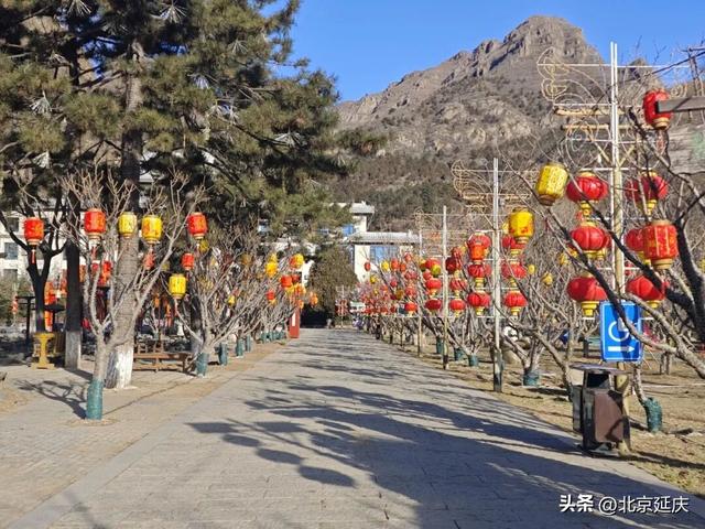 期待！延庆龙庆峡将亮起50万平方米花灯