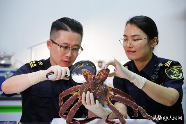 郑州航空港，真不只会“飞”！
