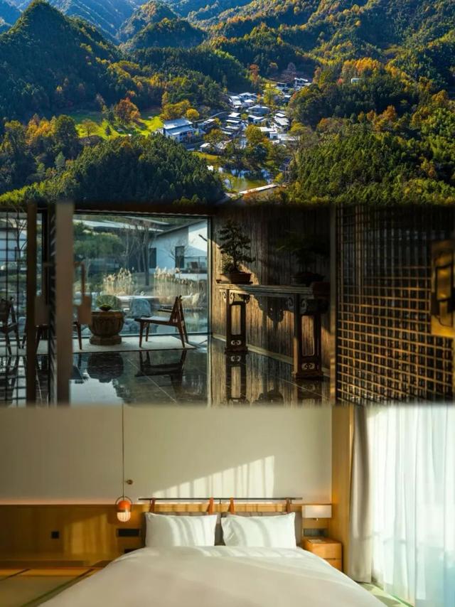 塔川秋色已上线！乌桕+民宿，等你来打卡~ | 皖美秋日