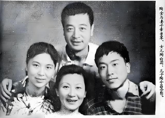 图说大明星陶金 娱乐圈少有的老实人 但为何妻子女儿却对他又爱又恨
