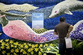 生前筹备身后事，从“终活”产业火爆看日本人的生死观图片