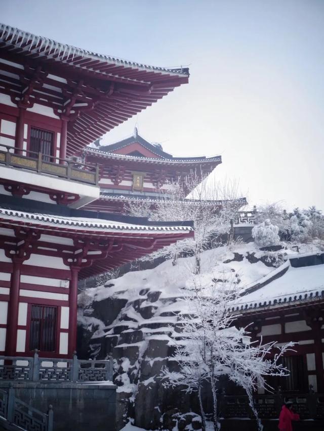 又来？这样的随州，你见没见过？