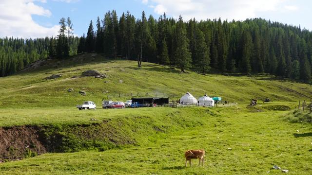 G331阿可公路开通带动富蕴县旅游升温多项举措提升服务品质