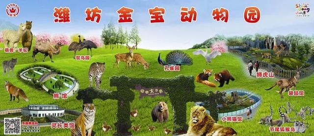 潍坊人有自己的“疯狂动物城”！冲！冲！冲！