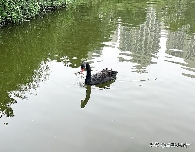 成都超级低调奢华的公园，色彩斑斓，被严重低估，公交车直达！