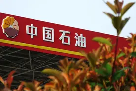 中石油2025招录博士1569人，都去了哪些单位？哪些大学人数比较多图片