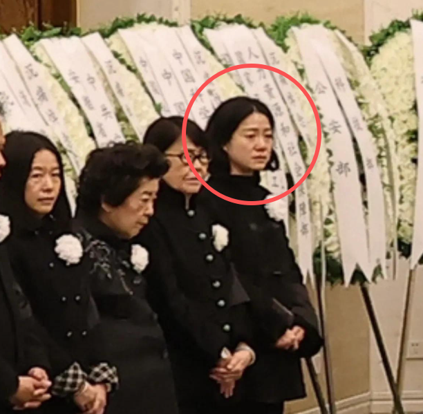 杨振宁追悼会曝光！墓外排百米长队，翁帆眼哭肿了，三子神情哀痛