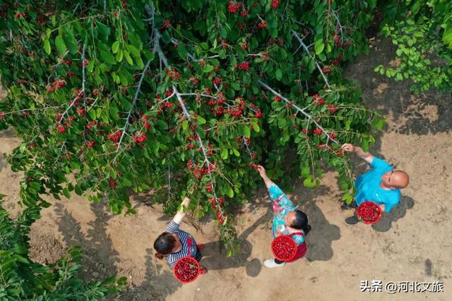 永清：农旅融合打造京津休闲好去处