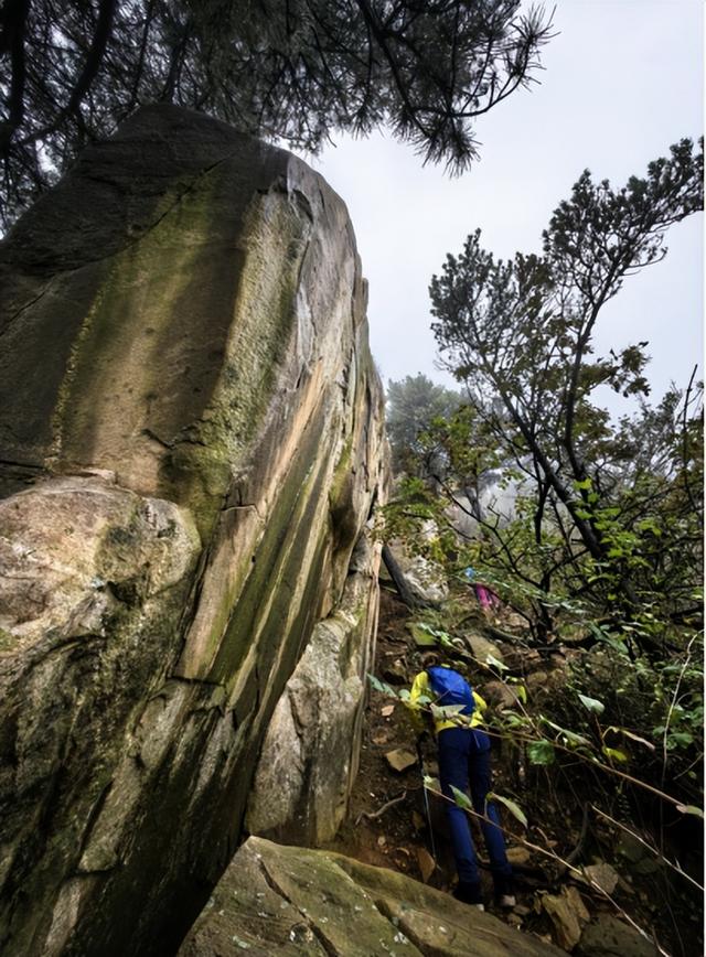 驴行信记：再攀“磨山顶”