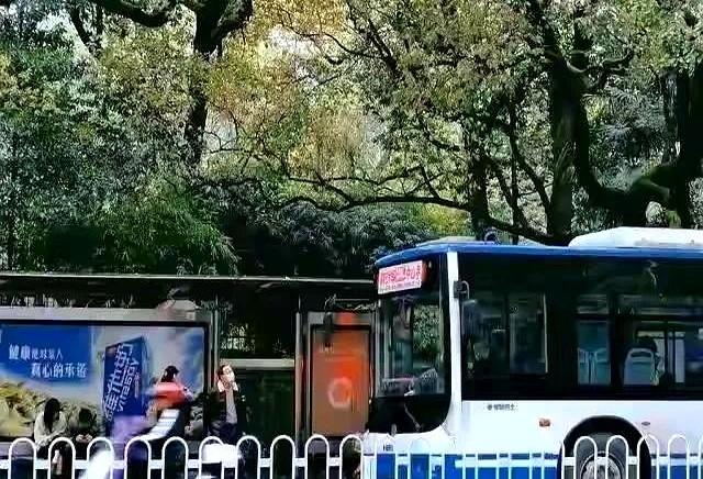 紧急提醒！本月起，老年人乘公交有新规！不注意小心卡“失灵”！