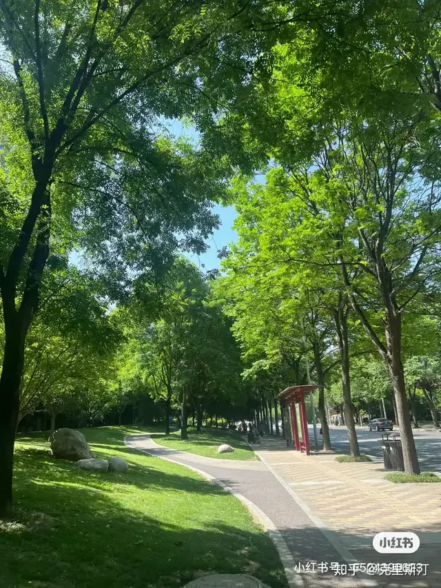 为什么144小时免签的vlog老外都说中国街道安静？