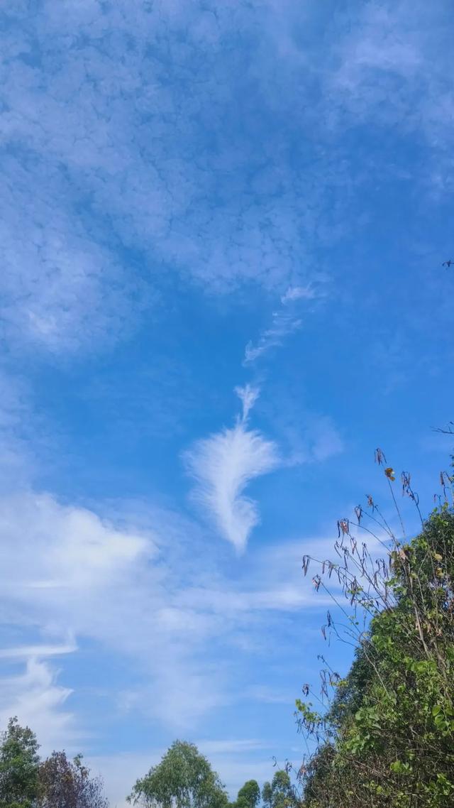 6月，谁说天空一无所有？(下)