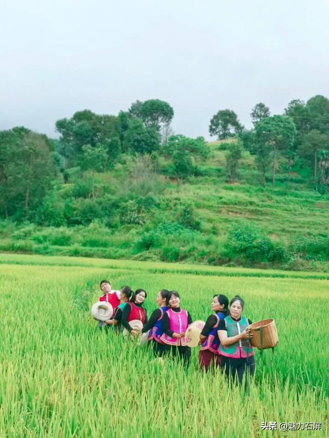多彩牛街 彝韵飘香 | 自然旅游篇