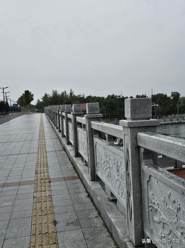 雨中梅湖露营基地的荷叶，更绿了，更美了，更柔了，更俏了！