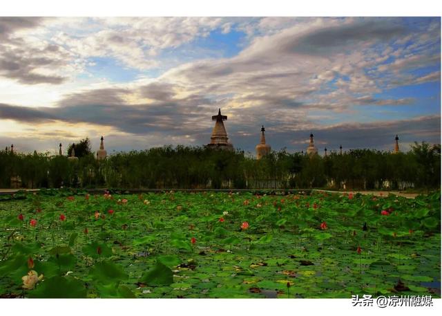 2026年来武威，这份时间表请收好！