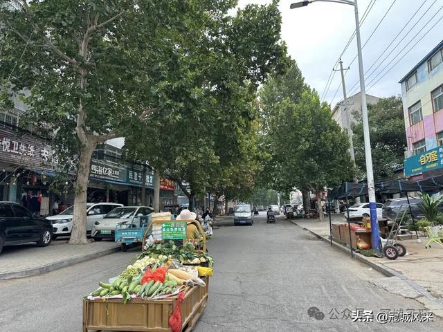 冠县印记·兴贸路