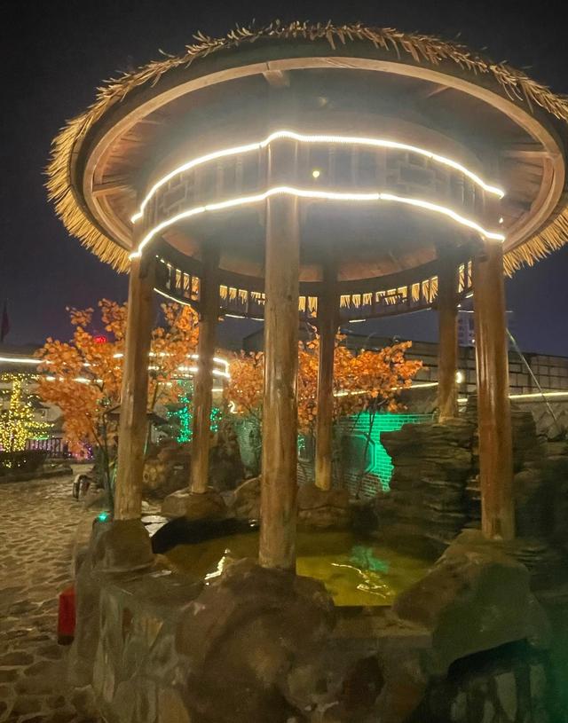 阜新五星级酒店温泉，二十个池子两个泳池，夜场竟然只要58元