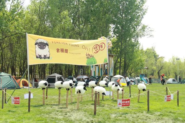 “五一”趣游新地标！青岛翠林云庄“小羊肖恩牧场”治愈来袭