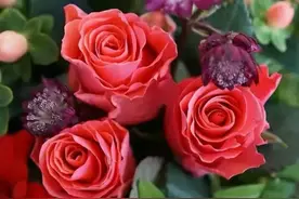 老婆是独生女，生怕守不住娘家的财！结婚六年，没花父母一分钱图片