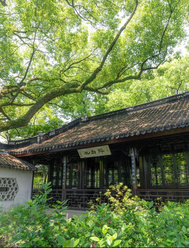 我是上海人，刚从松江回来，实在忍不住想说说：对松江的5点印象