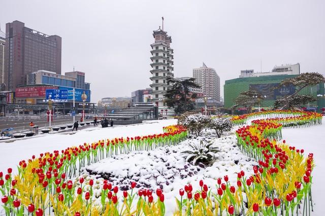 河南这场大雪，把中原大地变成水墨画！