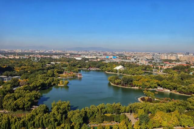 世界城市日,看东城,拔节生长——