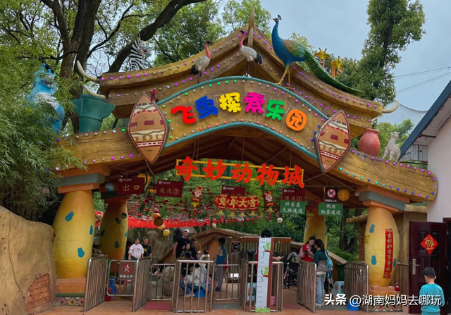 在家门口实现带娃溯溪自由！玩水抓螃蟹buff叠满，谁来谁上头