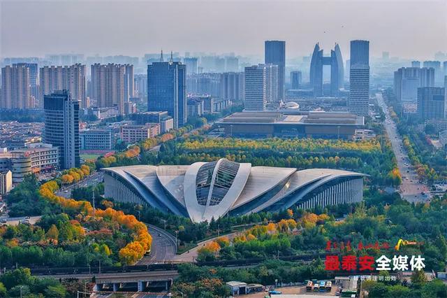 泰城深秋遍染金裳 斑斓画卷映眼帘