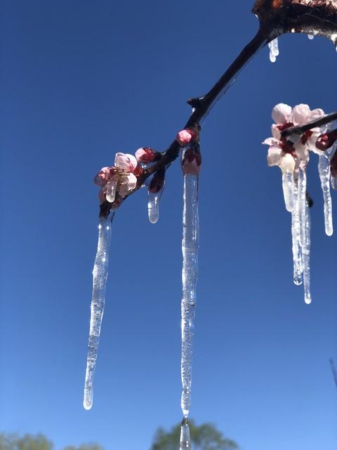 9点45分大寒，“大寒不过午	，春来不抬头”，今年大寒在几点？