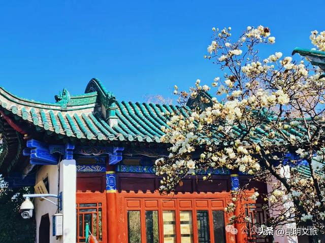 新晋顶流!「阴丹蓝+初雪白」,冬日昆明继续上分,你该换屏保了~